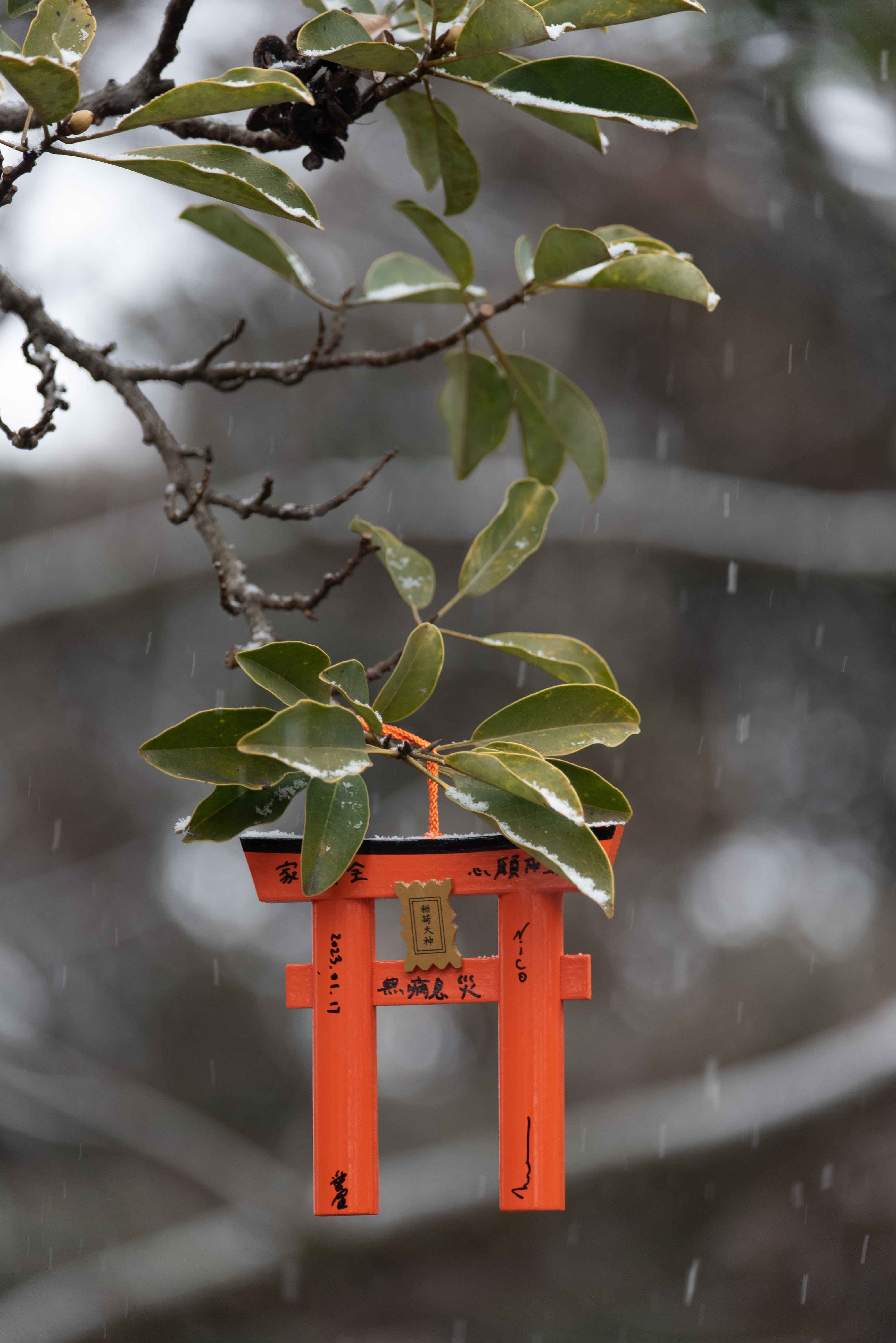 Self-mirror portrait in street